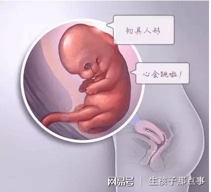 冷冻存储